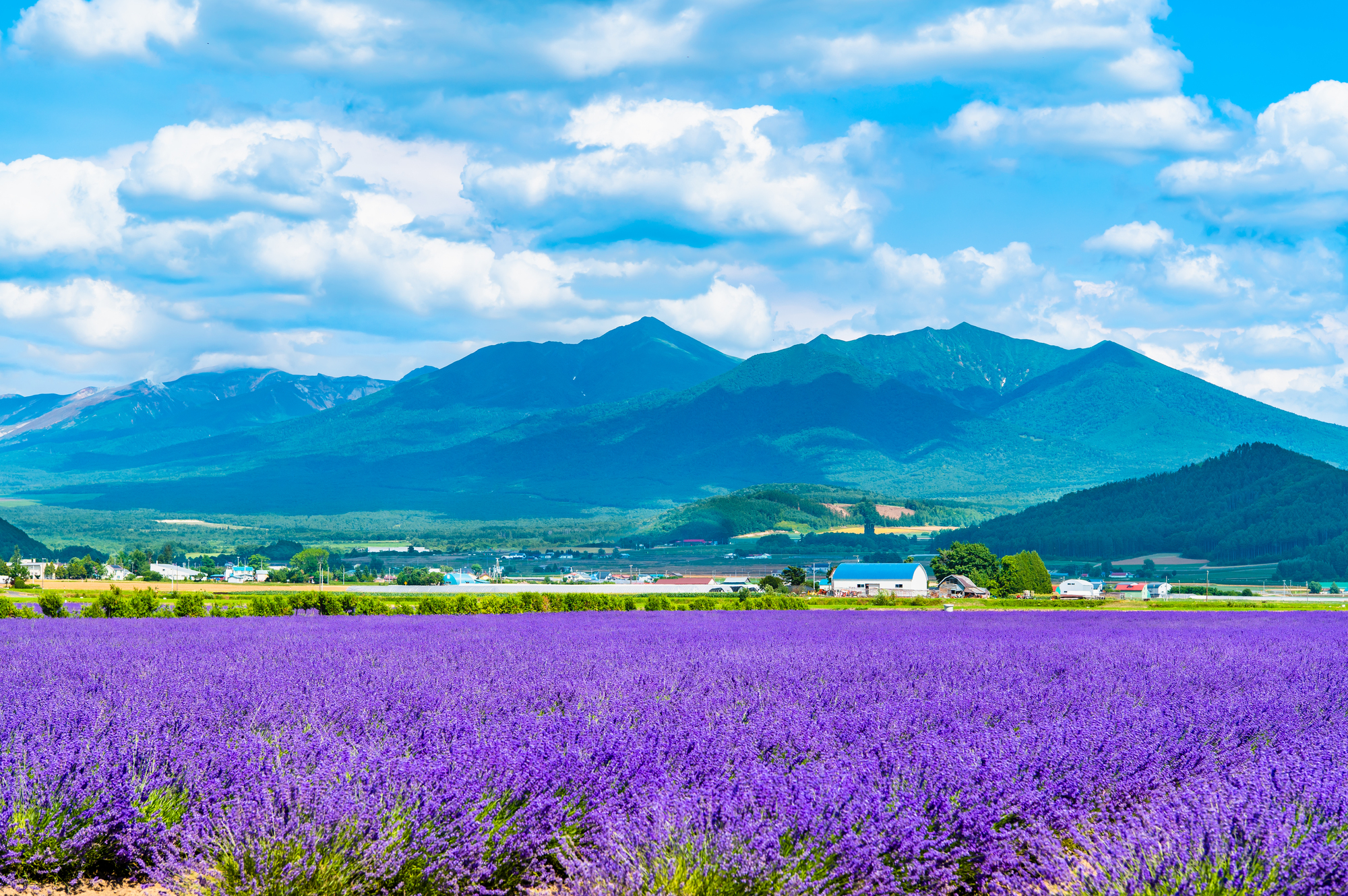 【2025年度版】北海道の助成金・補助金情報まとめページ