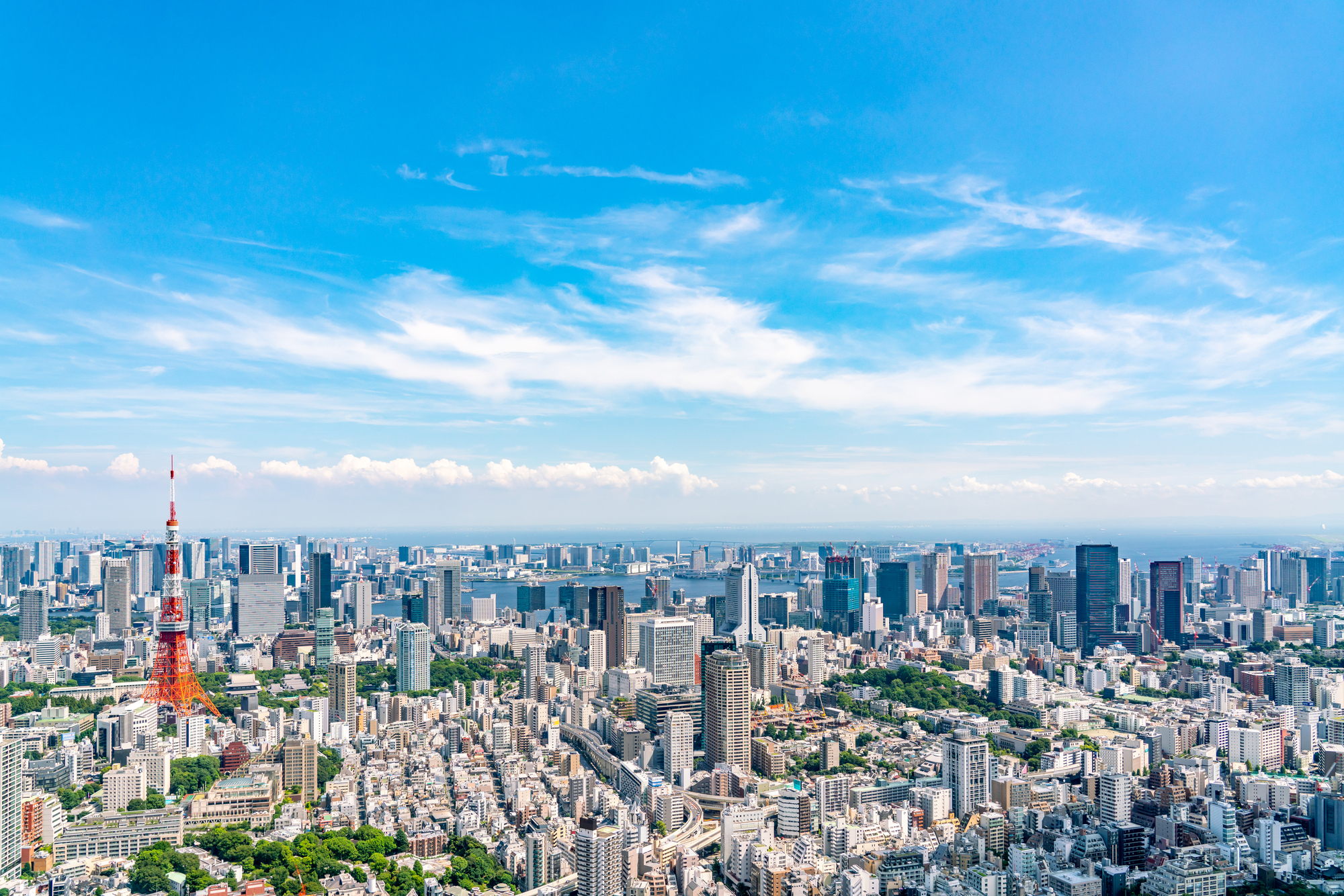 【2025年度版】東京都の助成金・補助金情報まとめページ